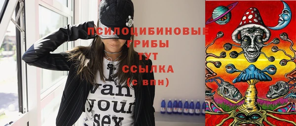 таблы Горняк