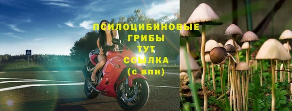таблы Горняк
