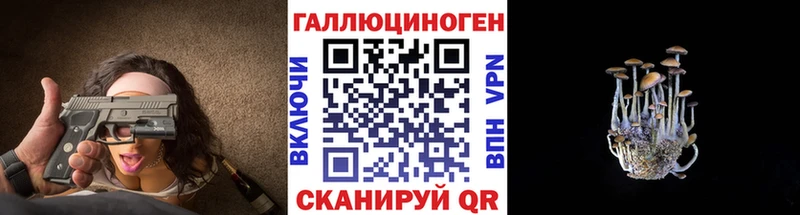 Псилоцибиновые грибы Magic Shrooms  Купить где  Аргун 