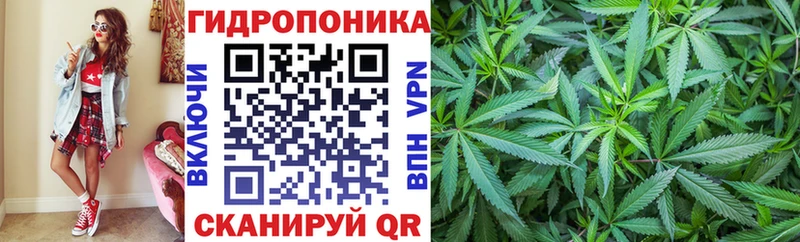 Конопля марихуана  Купить закладки  Аргун 